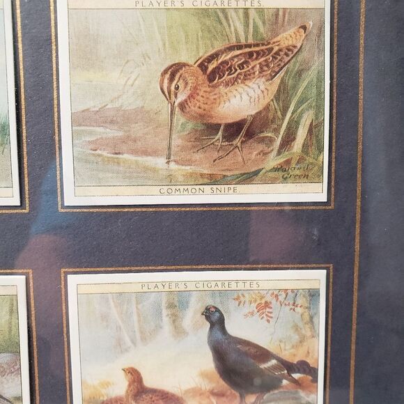 Players Cigarette Cards Game Birds & Water Fowl - Picture 5 of 11
